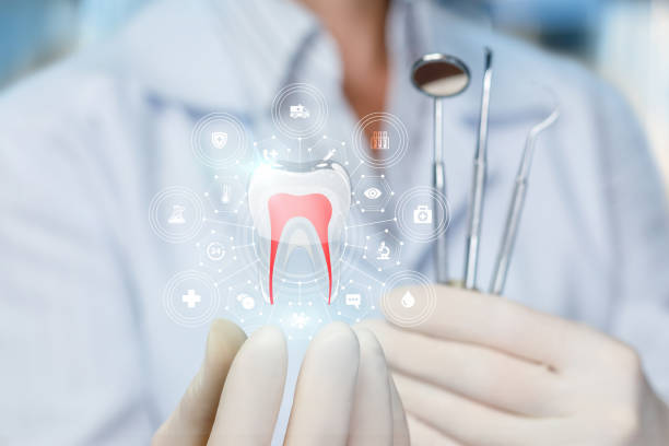 Reliable Bloomington, MN Holistic Dental Care Services Solutions